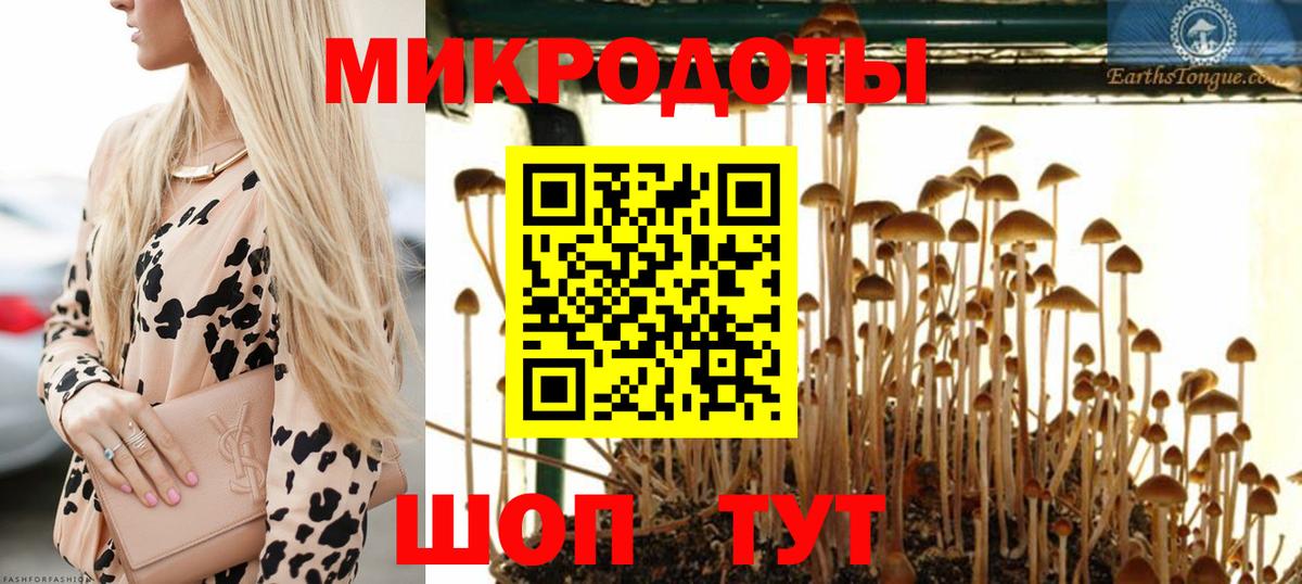 Галлюциногенные грибы мицелий Гагарин