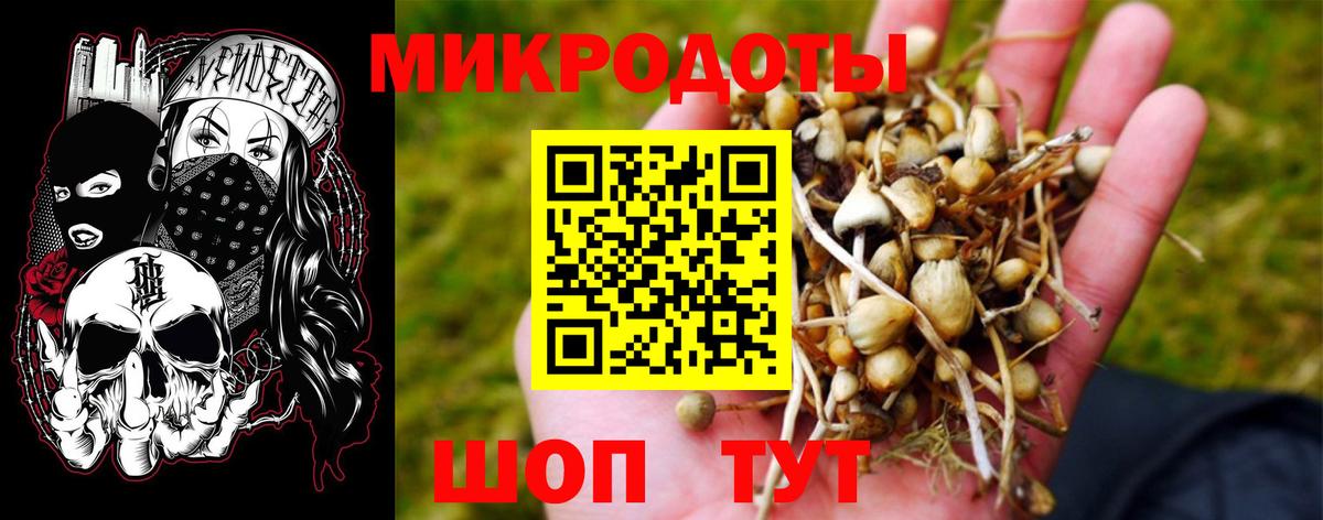 Галлюциногенные грибы GOLDEN TEACHER  Вход с VPN  Псилоцибиновые грибы ЛСД  Гагарин 